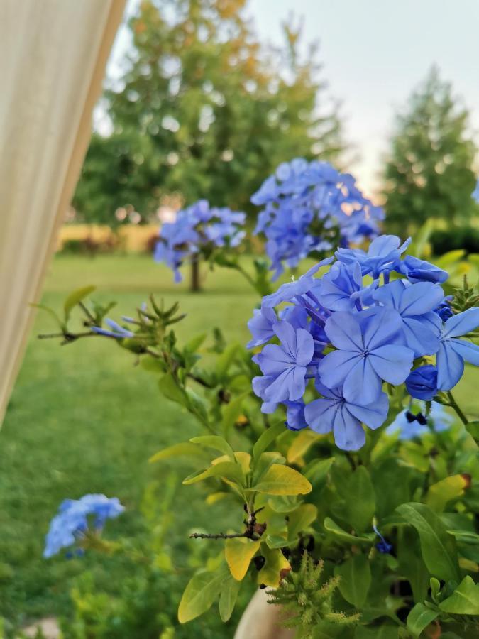 B&B Casazze Dream Маркария Экстерьер фото